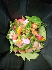 Lyon street food festival 2024, les grandes locos, nomad kitchens, pierre sang boyer, florent ladeyn, baptiste rivière, bettina dusseau, restaurant Armada, Marie Dijon, cantine caterine,pauline fleuret, restaurant beurre noisette, sébastien bouillet, nicolas paciello, henri guittet