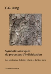 c.g jung,symboles oniriques du processus d'individuation, la fontaine de pierre,W.Pauli,mandalas,Soi, indivuduation,aout2021